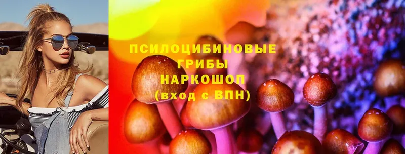 blacksprut ТОР  Ликино-Дулёво  Галлюциногенные грибы Cubensis 